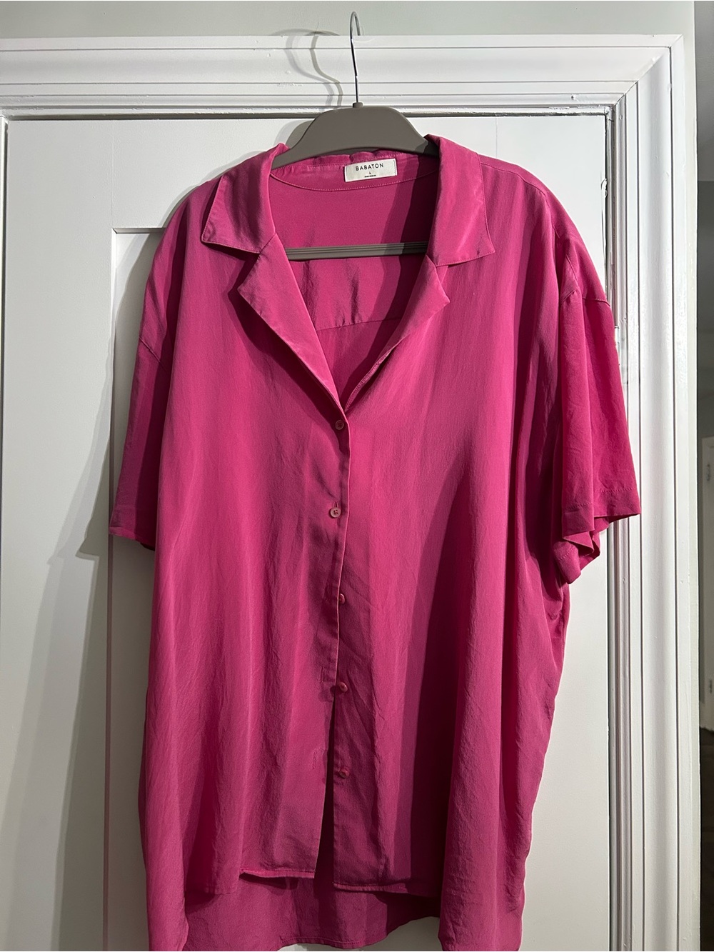 Aritzia Pink Silk Button-Down Blouse